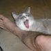 Profile Picture of Page Schenone (@pagesbs) on Pinterest
