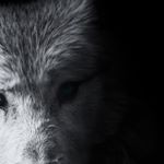 Profile Picture of AugustoHC (@augusto_guzman_hc) on Instagram