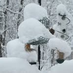 Profile Picture of Judye Huffhines Cooper (@judye.cooper) on Facebook