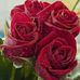 Profile Picture of Moustapha Mbacké (@moustapha.mbacke.37017) on Facebook