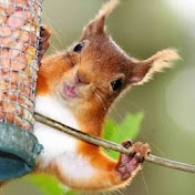 Profile Picture of Timothy Carson (@timothycarson6652) on Youtube