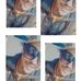Profile Picture of Crichton Hornsby (@crichton.hornsby.7) on Facebook