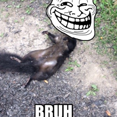 Profile Picture of Josh Kalk (@joshkalk) on Twitter