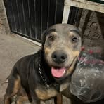 Profile Picture of Daniel Besanilla (@Daniel-Besanilla) on Facebook