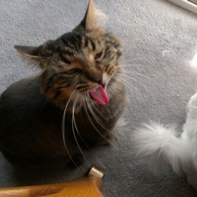 Profile Picture of David Gjerde (@davegjerde) on Twitter