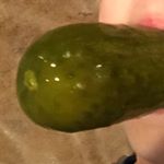 Profile Picture of Pickles (@pickels_jr) on Instagram