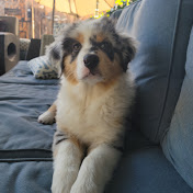 Profile Picture of Chris Fierro (@chrisfierro9657) on Youtube