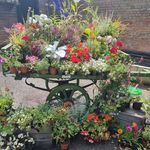 Profile Picture of Paula Chappell (@paula.chappell.75) on Instagram