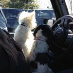 Profile Picture of mark ruffalo (@mark_ruffalo62) on Instagram