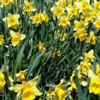 Profile Picture of Andy Winternitz (@awinternitz) on Twitter