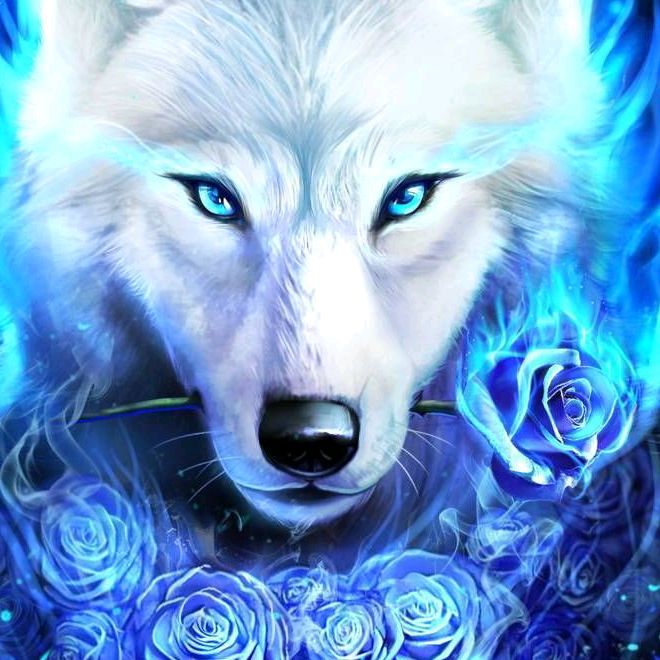 Profile Picture of Davis (@devaughndavis3) on Tiktok