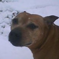 Profile Picture of Mandy Hudson (@mandy-hudson-8) on Quora