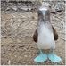 Profile Picture of Raymond O'Shaughnessy (@raymond.oshaughnessy.9) on Facebook