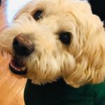 Profile Picture of Jill Mastromarco (@jillmastromarco) on Instagram
