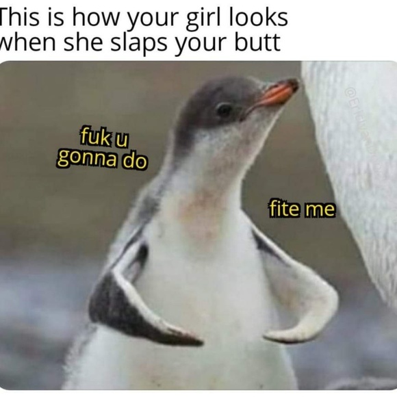 Profile Picture of Robert Oaks (@rkointhebay) on Poshmark