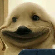 Profile Picture of Pimpim (@pimpim9771) on Youtube