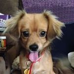 Profile Picture of Kathy Greer Bryant (@kathygreerbryant) on Instagram