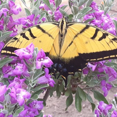 Profile Picture of Scott Mavis (@ScottMavis8) on Twitter