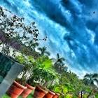 Profile Picture of   rani (@rani_chaudhary)... (@rani_chaudhary) on Tiktok