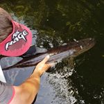 Profile Picture of Jean-Francois Lecomte (@jeanfrancoislecomte) on Instagram