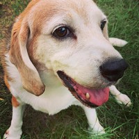 Profile Picture of Sofia Cordero (@sofia-cordero-8) on Quora