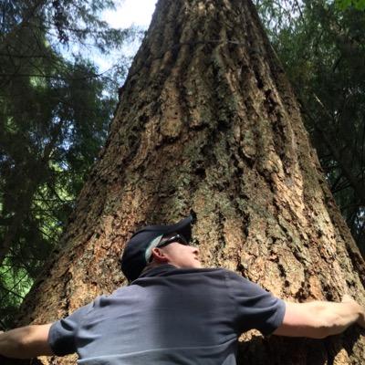Profile Picture of Steve Trainor (@stevetrainor) on Twitter