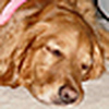 Profile Picture of Nancy Swope (@nls) on Flickr
