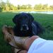 Profile Picture of Kris Matson (@kamatson) on Pinterest