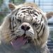 Profile Picture of Jah'ziere Scott _ Student - WestLakeMS (@jahzierescott_studentwestlakem) on Pinterest