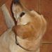Profile Picture of Craig Cranmer (@craig.cranmer.1) on Facebook