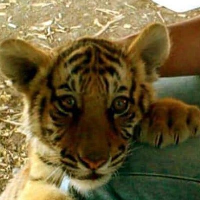 Isaac Ulloa. Rojas - Twitter Profile Picture of Isaac Ulloa. Rojas (@IsaaculloaRoja3) on Twitter