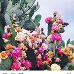 Profile Picture of Jacquelyn Connelly (@jacqui_on_holiday) on Instagram