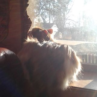 Profile Picture of Gerald Bernhardt (@gerald.bernhardt.5) on Facebook