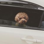 Profile Picture of Nathan Cheung (@nathancheung00) on Instagram