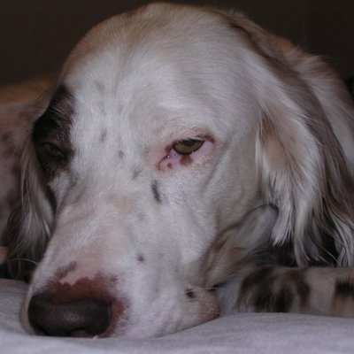 Mike Riney - Twitter Profile Picture of Mike Riney (@airplane_nut) on Twitter