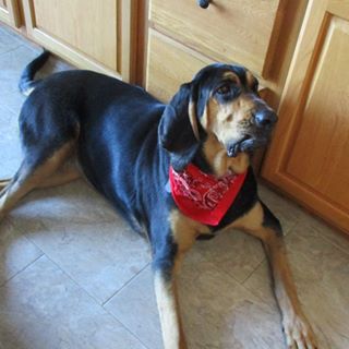 Profile Picture of BartonKathy Blake (@barton.blake.54) on Facebook