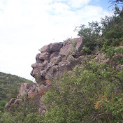 Profile Picture of Jose Sarria (@josesarria9477) on Youtube