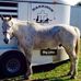 Profile Picture of Leon P Harrison Sr. (@leon.harrison.108) on Facebook