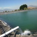 Profile Picture of Alejandro (@alejandroesquivel1) on Instagram