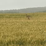 Profile Picture of Greg Clippinger (@Greg-Clippinger) on Facebook