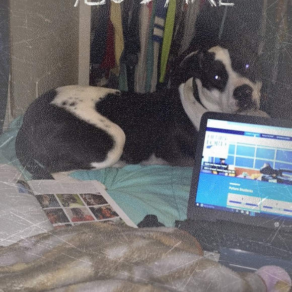 Profile Picture of Brooke Yagley (@synthia1) on Poshmark