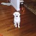 Profile Picture of Terry Alexander (@clinch2000) on Pinterest