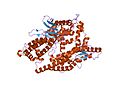Profile Picture of Thimet oligopeptidaseon Wikipedia