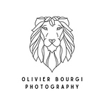 Profile Picture of Olivier Bourgi I Concert Photographer (@bourgol) on Flickr