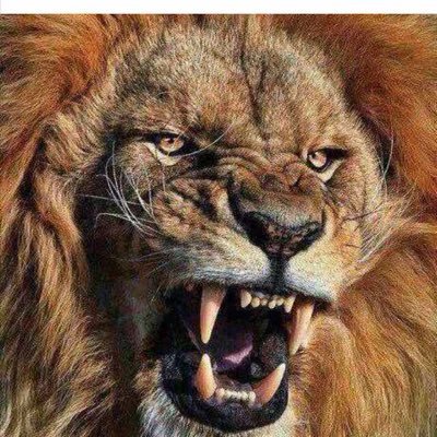 Profile Picture of Joseph Barbar Saliba (@josephbsaliba) on Twitter