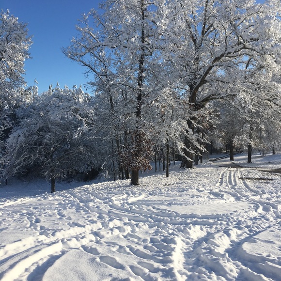 Profile Picture of Lisa Wheeler (@ljwheeler4) on Poshmark