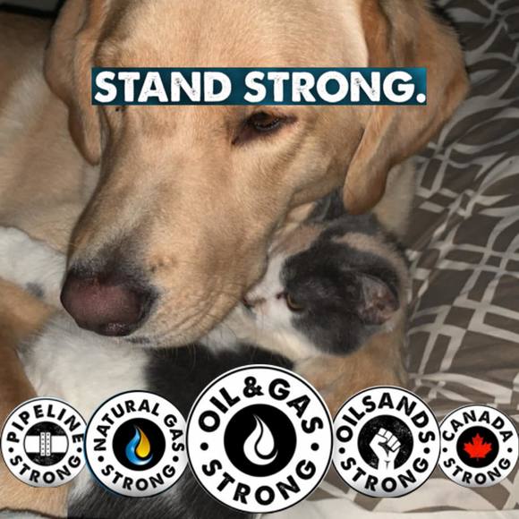 Profile Picture of Tami Paulson (@thamom) on Poshmark