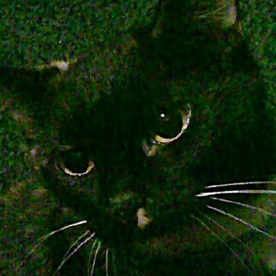 Profile Picture of Lisa Marie Crites (@@ZombieXDeath) on Twitter