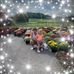 Profile Picture of Shelley Johnson Faught (Shelley Johnson Faught) (@shelley.j.faught) on Facebook