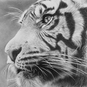 Profile Picture of Carlos Atkinson (@carlosatks) on Pinterest